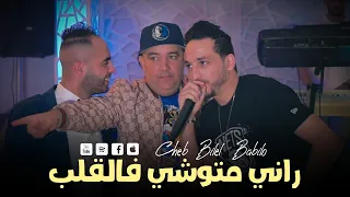 Cheb Bilel Babilo 2023 | Rani Mtouchi Fel Galb -  الهربة تسلك-  Live Mariage Sohaib Papillon