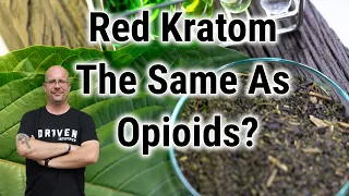 Red Kratom The Same As Opioids?