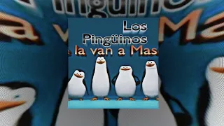 DIKA VIKA X Los pingüinos me la van a mascar ( slowed / / reverb – edited )