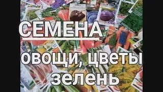 Обзор СЕМЯН овощей цветов зелени/ СЕМЕНА 2019 дешево/ Какие семена купили  #ДомовитаяХозяйка