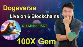 Dogeverse Presale Live on 6 Blockchains | $11 Million USDT Raised | Don't Miss 100X Presale Project