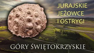 Skamieniałości jurajskie w Górach Świętokrzyskich i geologia okolic Bocheńca.