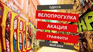 Велопрогулка по Одессе. Центр. Май 2024. Атмосферное видео