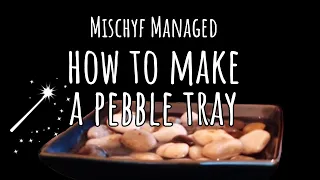How to make a pebble tray - increases humidity