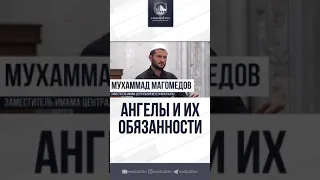 АНГЕЛЫ И ИХ ОБЯЗАННОСТИ