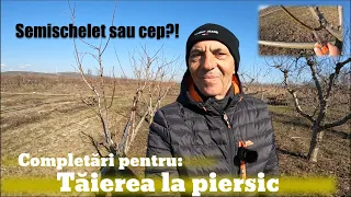 Tăierea la piersic - cum formăm cepul?