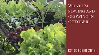 What I'm Sowing and Growing in October
