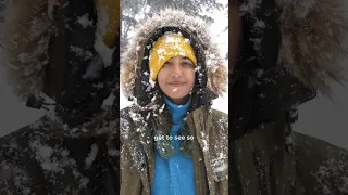 Snowfall in India! Sethan, Himachal Pradesh (it snowed on 31st Jan 2024)