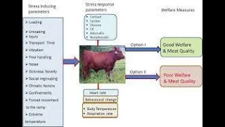 Transport of Food Animals (3.7): Dr. Mandal P K