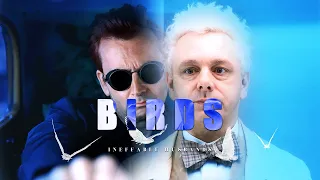 crowley + aziraphale [birds fly in different directions]