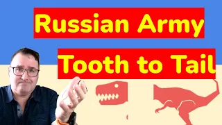 What is the Russian Army Tooth to Tail Ratio?
