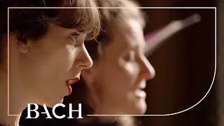 Bach - Chorale Jesu, meine Freude BWV 358 - Prégardien | Netherlands Bach Society