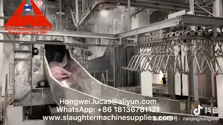 Pig Slaughterhouse Pork Meat Processing Plant Modern Hog Abattoir Meat Production Equipment Factory