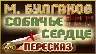 Собачье сердце. Михаил Булгаков