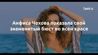 Анфиса Чехова показала свой знаменитый бюст во всей красе  - Sudo News