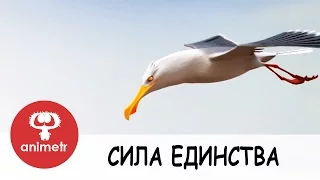 Сила единства. Самый ржачный мультфильм!