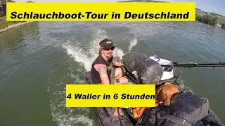 Schlauchboot-Waller-Tour in Deutschland / toter Köderfisch / Flügel-Upose by Stefan Seuß