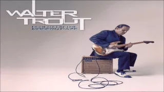 WALTER TROUT - Brother's Keeper