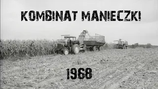 "Kombinat Manieczki" (1968 r.) /CAŁY FILM/