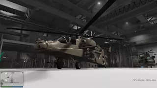 Hangar bug: Gone forever