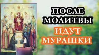 ПОСЛЕ НЕЕ ИДУТ МУРАШКИ ПО КОЖЕ! ОЧЕНЬ СИЛЬНАЯ МОЛИТВА!