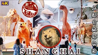 4K Shanghai Natural History Museum Walking Tour|China 2023 上海自然博物馆漫游之旅|感受震撼人心的神奇大自然|中国最大的自然博物馆之一