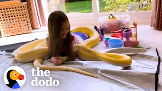 16-Foot Python Is So Gentle With Her Favorite Girl  | The Dodo Soulmates