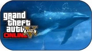 Gta 5 BLUE WHALE AND HAMMER HEAD SHARK SPAWN LOCATION