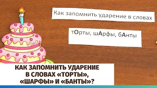 Как запомнить ударение в словах «торты», «шарфы» и «банты»?