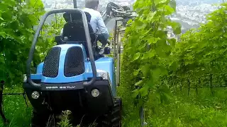 Geier специализирани верижни лозаро-овощарски трактори