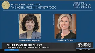 Harvard Medical School Grad Jennifer Doudna Shares Nobel Prize In Chemistry