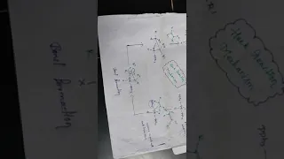 Heck reaction mechanism cycle formation ( remember point like oxidation and reduction bond forming)