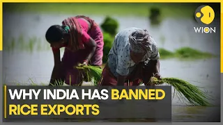 India Prohibits Non-Basmati Rice Exports to Stabilize Domestic Prices | WION Newspoint