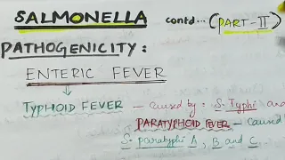 Salmonella (part 2) | Enteric fever | Microbiology | Handwritten notes