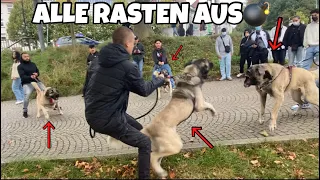 7 KANGALS in BREMEN ESKALIERT *Polizeieinsatz NR2* 😱