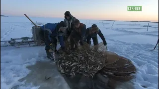 Рыболовный промысел поморов