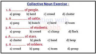 Collective Noun Practice Set-01 |Collective Noun exercise|Collective Noun for Airforce, Navy and all