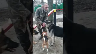 ОГРОМНЫЙ ВЕО РЭЙ и его ДРУЗЬЯ. Одесса.