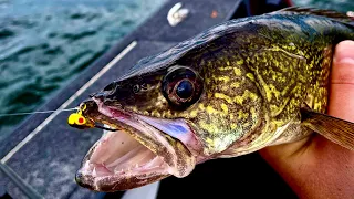 Wolf River Walleye Fishing (AIM 2022)