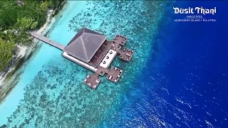 Dusit Thani Maldives Resort - Ultimate luxury Maldives Hotel