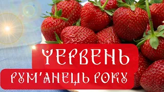 РУМ'ЯНЕЦЬ - ЧЕРВЕНЬ. Чому так полюбився цей місяць українцям? Яку магію він зберігає?