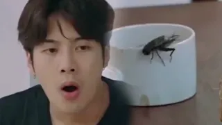 GOT7 vs BUGS A NEVER ENDING SAGA!!!