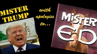 "Mr. Trump", a satire/parody based on the tune from "Mister Ed", an American sitcom from the 1960's.