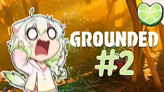 Spiders And 'Skeeters And Larva, Oh My! | Grounded (Part 2)