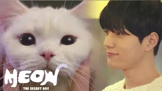 Cat turns into a man and falls for his owner | Meow, the Secret Boy All Episodes explained in हिन्दी