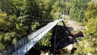 Hängebrücke für die Südeifel: Wiederaufbaufonds macht's möglich