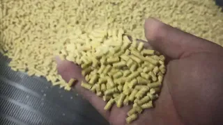 Гранулирование цельной кукурузы.