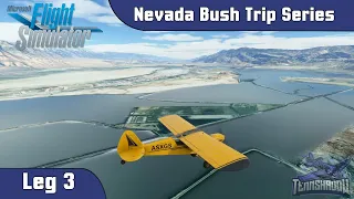 Microsoft Flight Simulator 2020 - Nevada Bush Trip - Leg 3 - Wrong Airport??