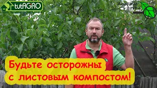 КОМПОСТ ИЗ ЛИСТЬЕВ... ДАЖЕ ОРЕХА! Что добавить к листьям, чтобы получить ценное удобрение.