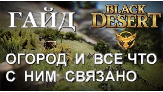 Гайд - Огород в Black Desert